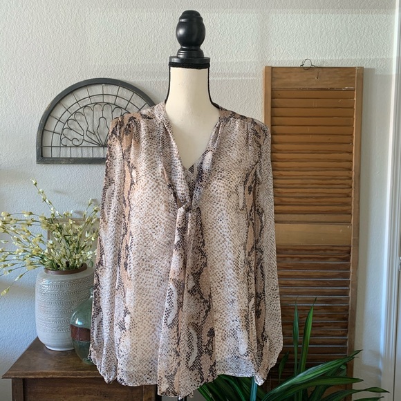 Daniel Rainn Blouse - Picture 7 of 8